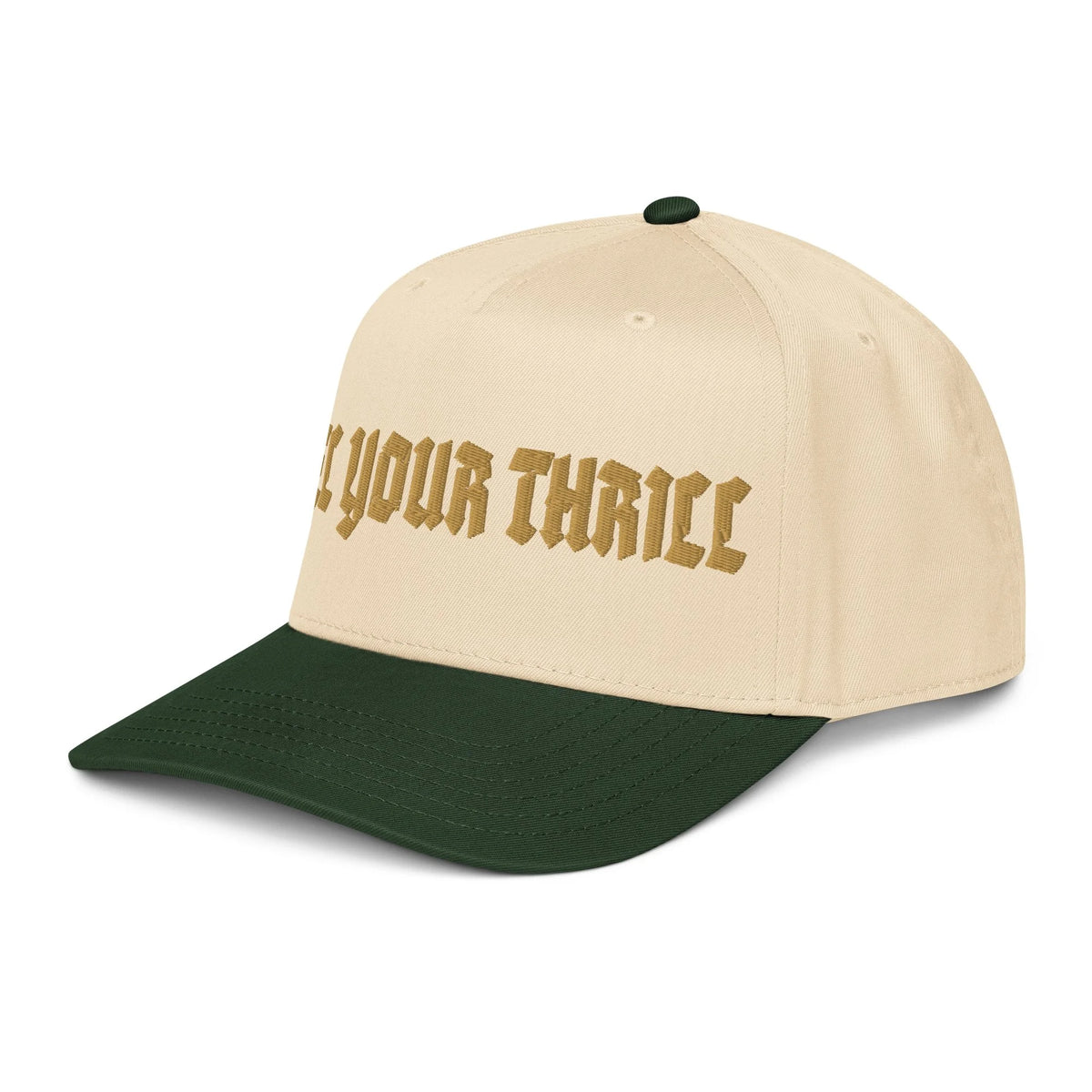 Send It Snacks Logo 5 panel cap